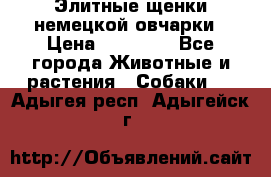 Элитные щенки немецкой овчарки › Цена ­ 30 000 - Все города Животные и растения » Собаки   . Адыгея респ.,Адыгейск г.